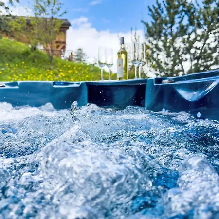 Gingembre 12 By Interhome Chalet Nendaz